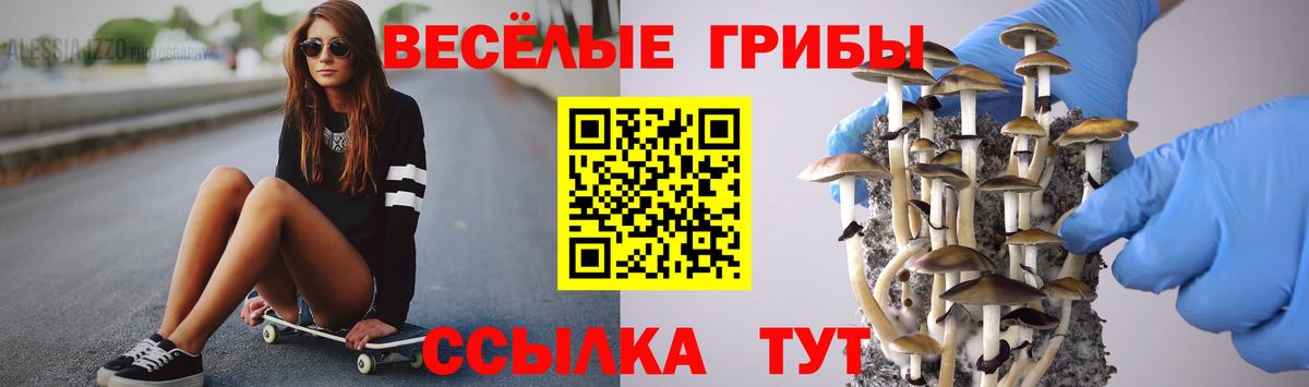 Усть-Илимск  Галлюциногенные грибы MAGIC MUSHROOMS  Псилоцибиновые грибы Psilocybine cubensis  Вход с VPN 